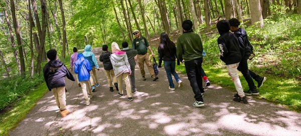 forest bathing