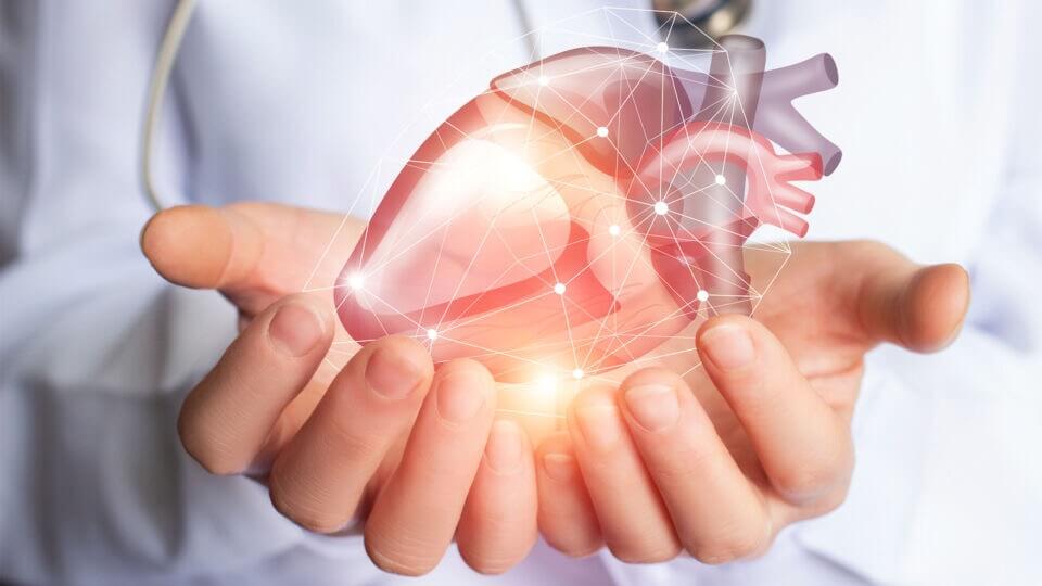 prevent heart disease