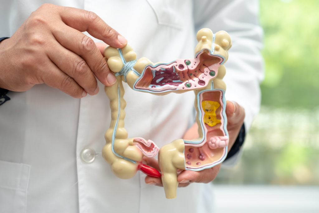 gut health