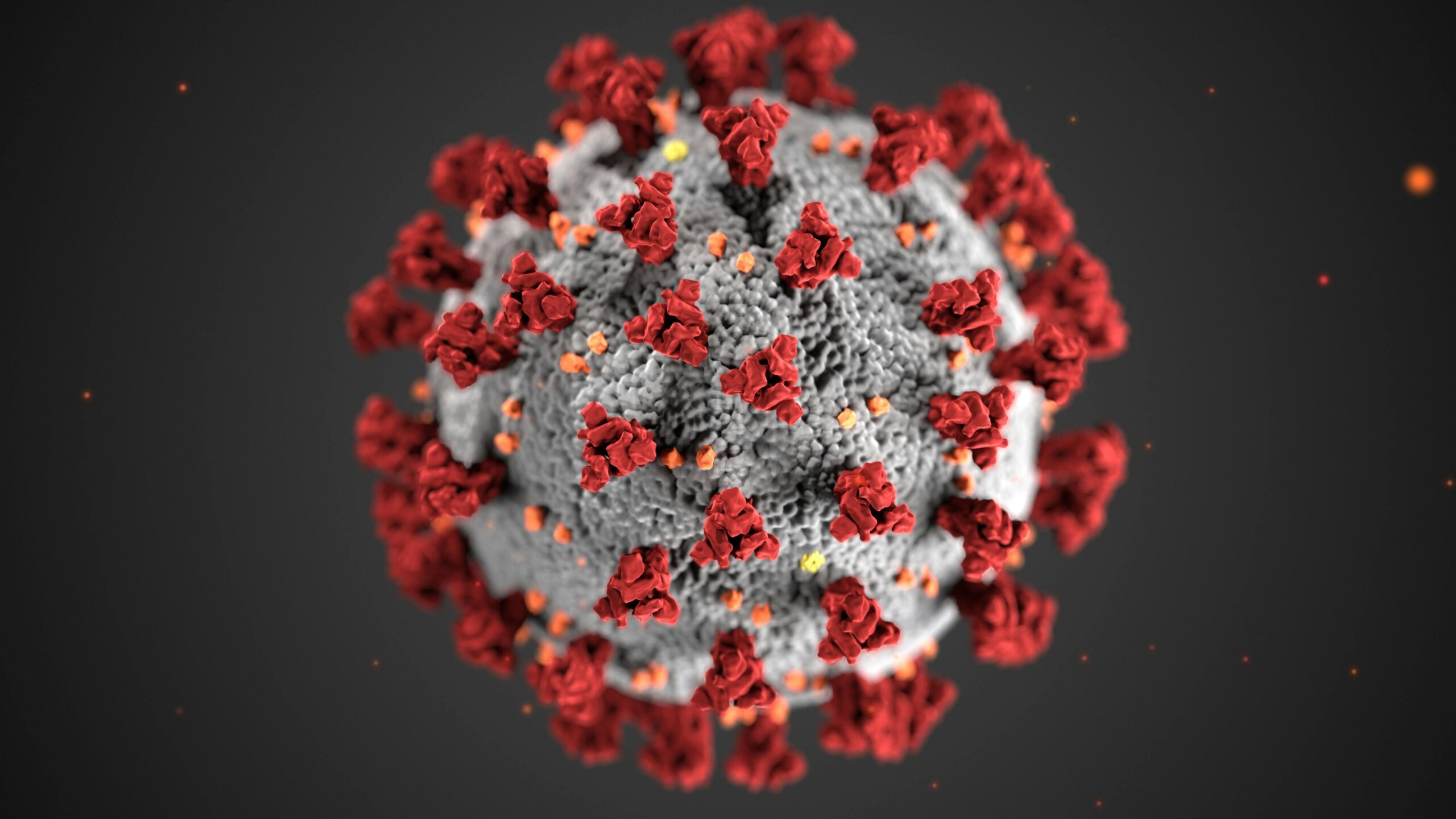 viral infections